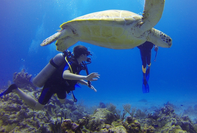 Buceo en Galapagos